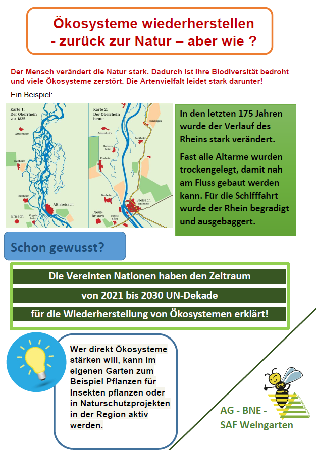 Renaturierung.png